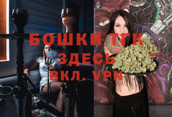 шишки Алексеевка